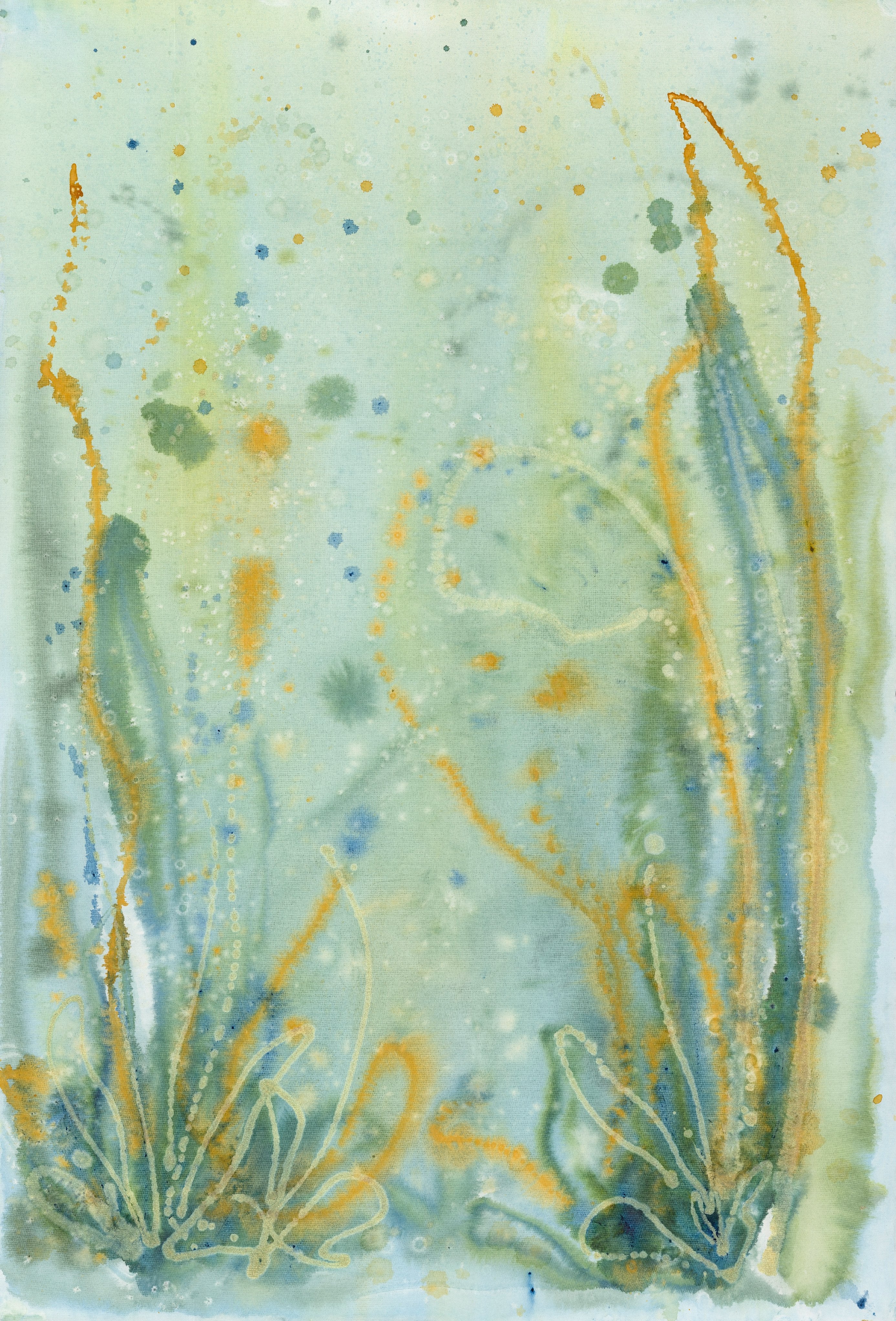 Spring in the Seas