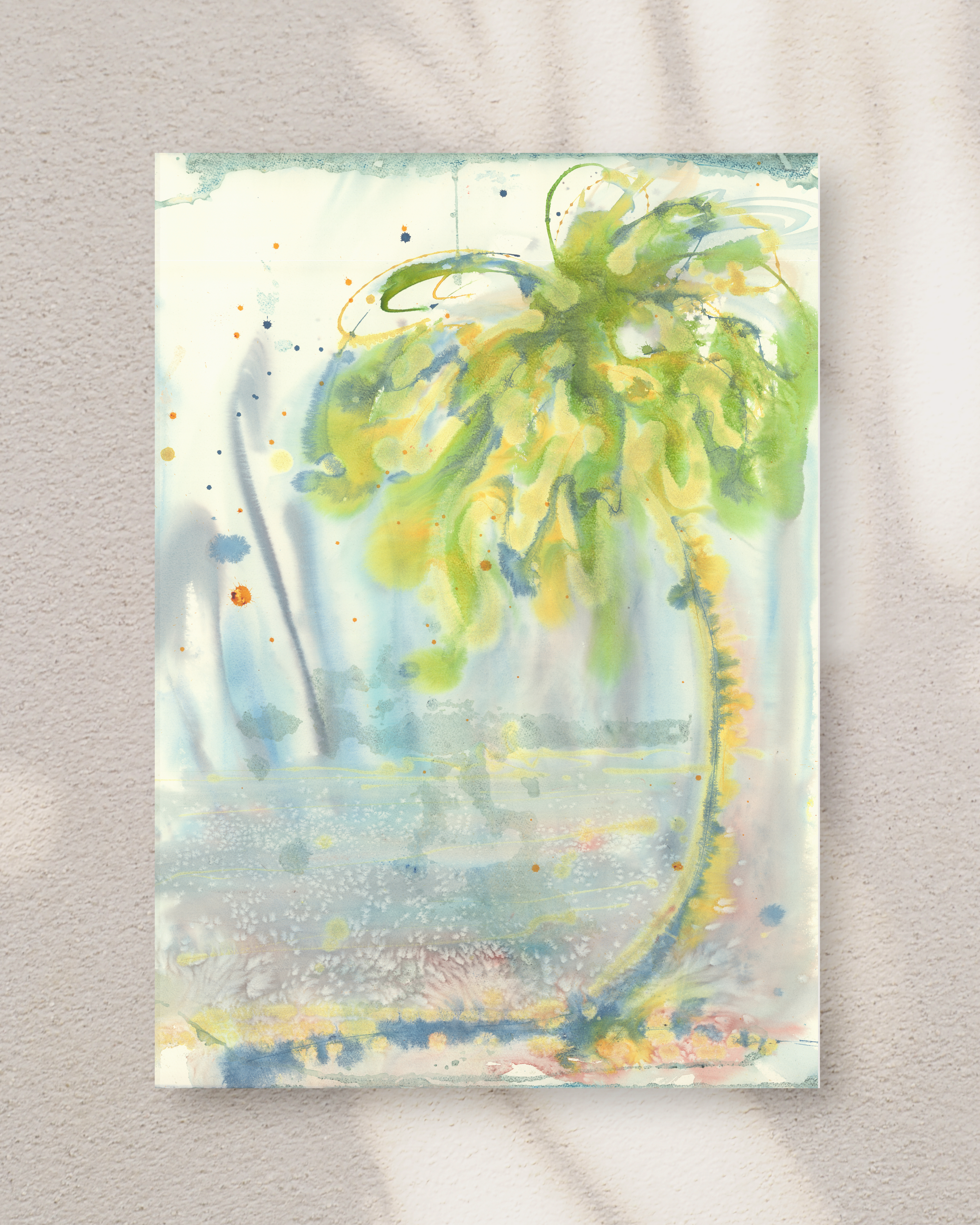 Palm Beach