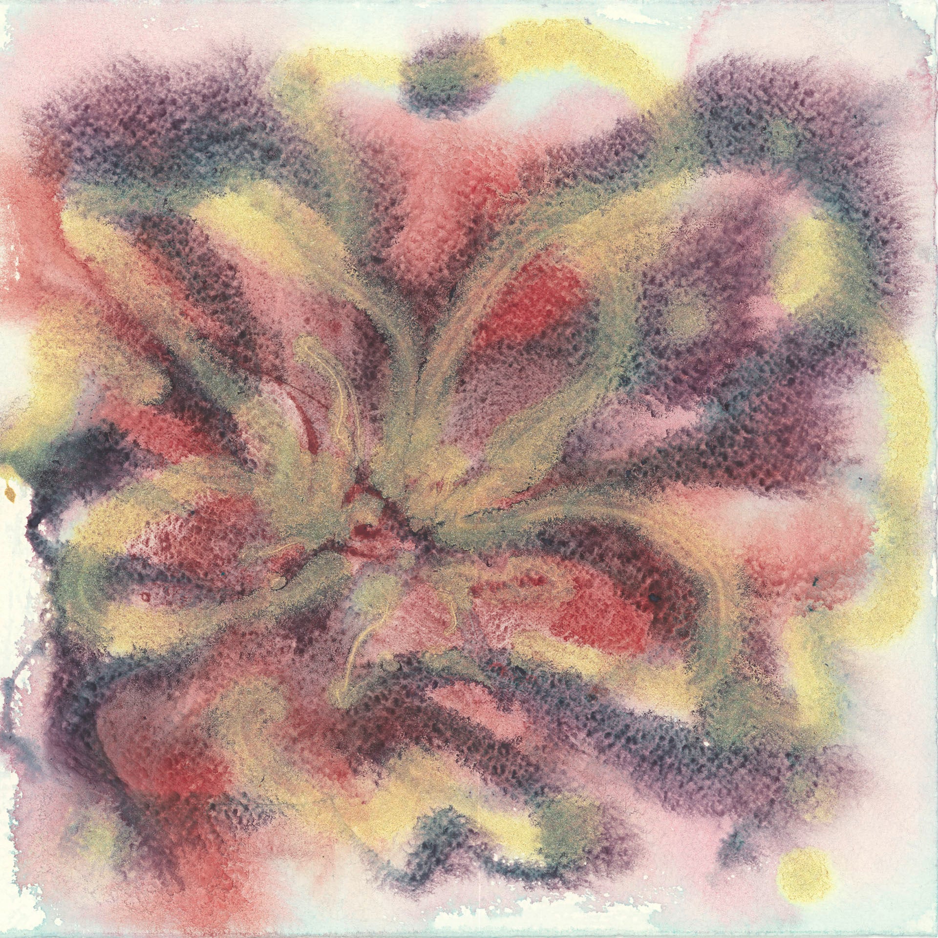 Burgandy Blush (no. 1)