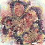 Burgandy Blush (no. 2)