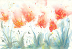 Butterfly Season
