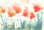 Butterfly Season