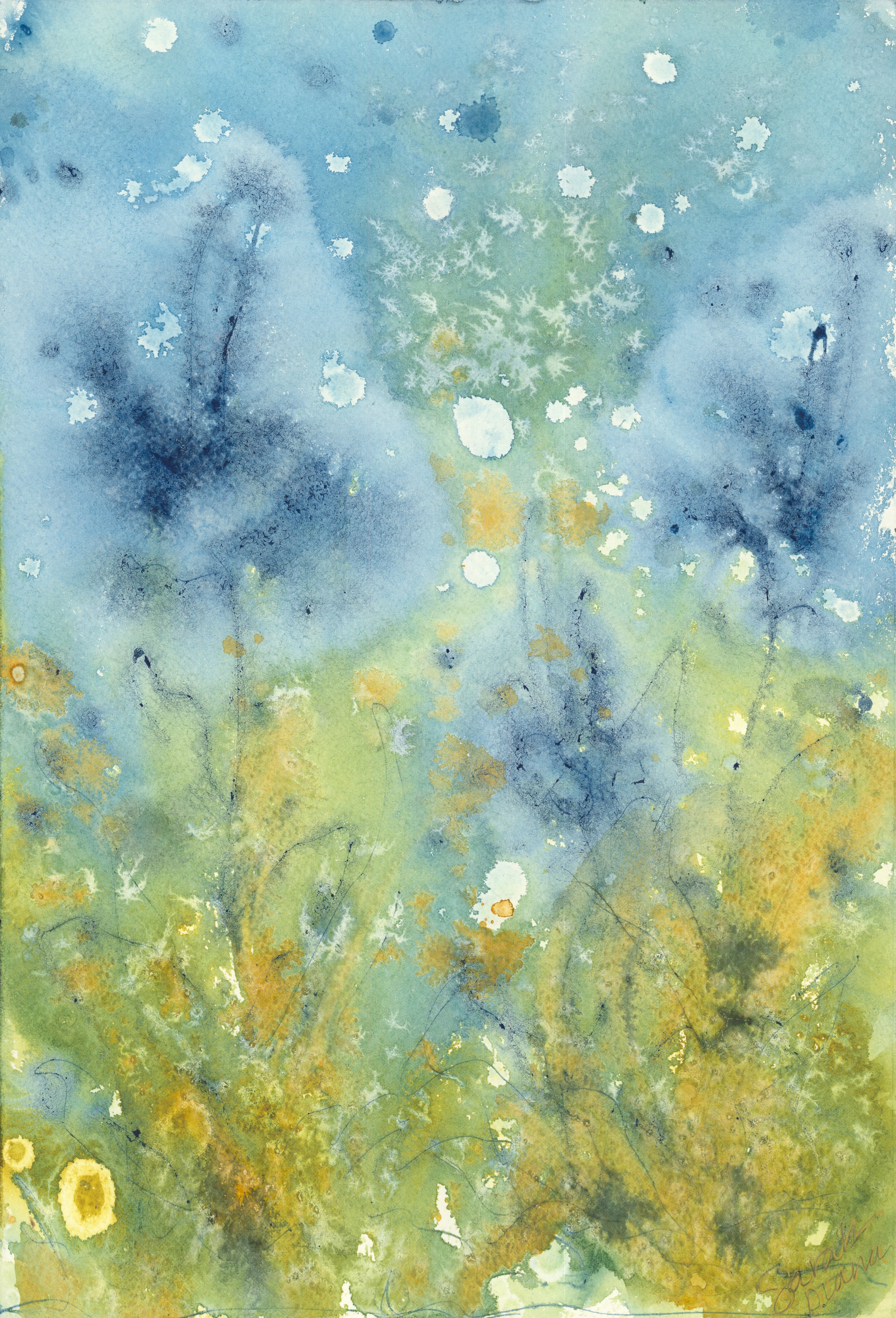 Indigo Spring