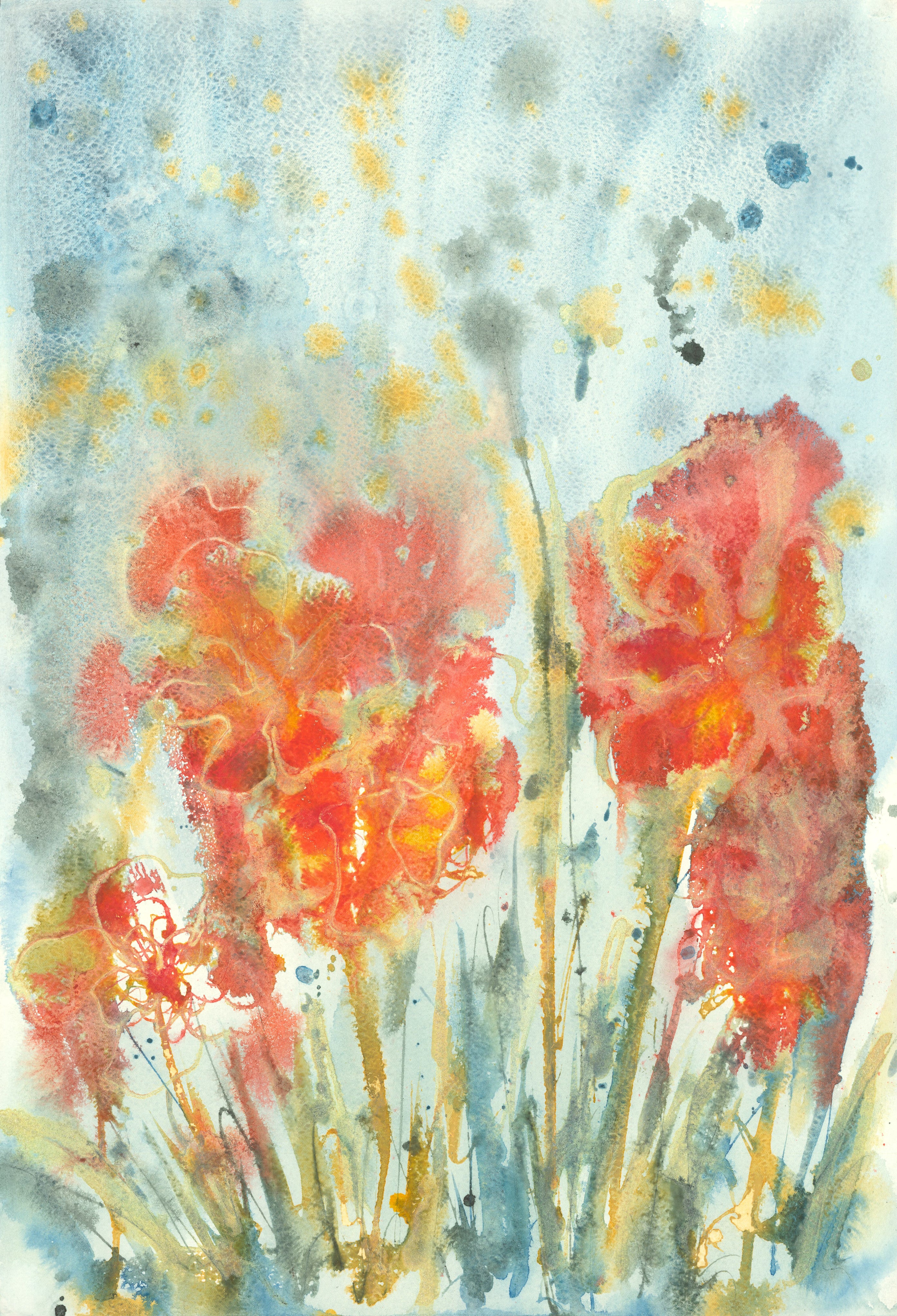 Morning Glory