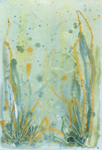 Spring in the Seas