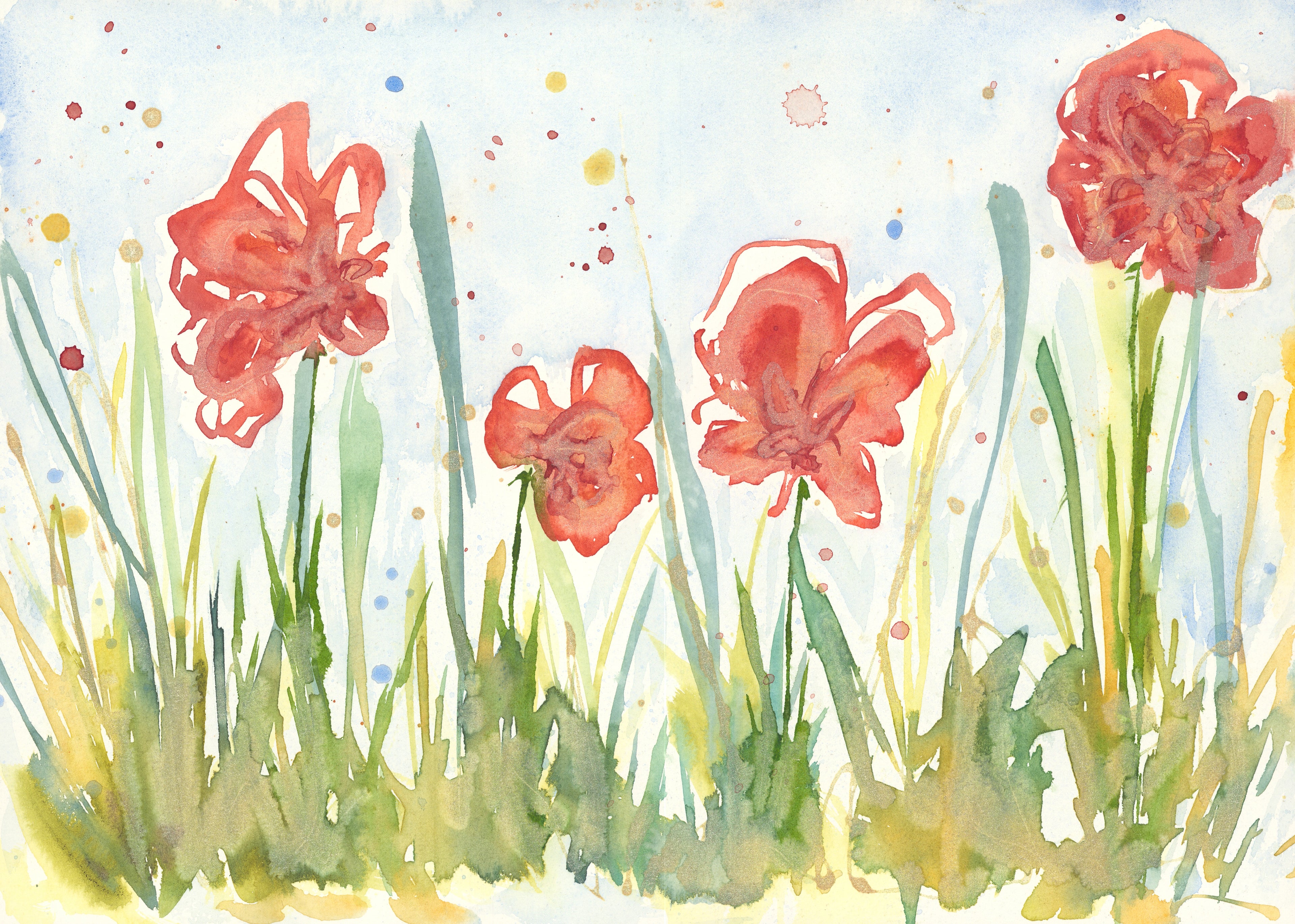 Clarity Study