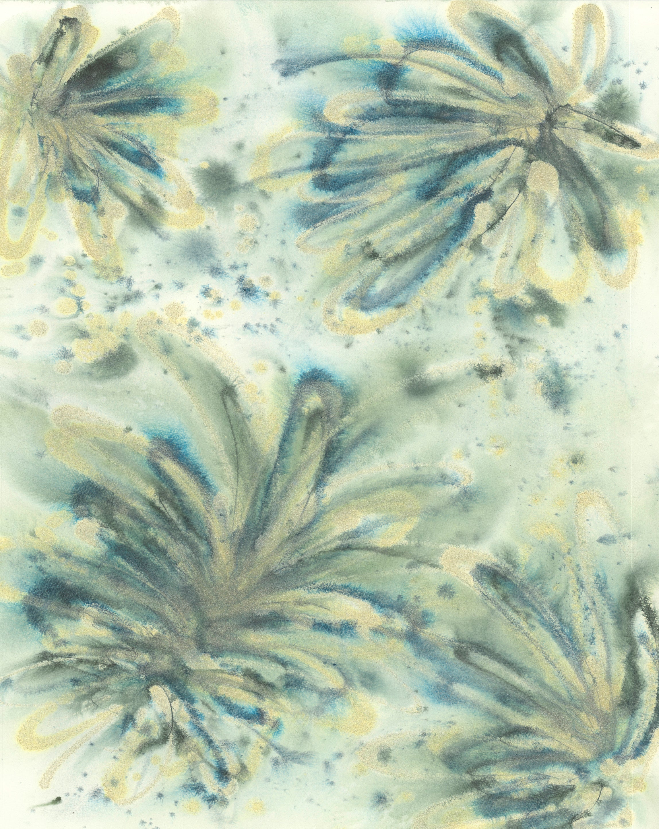Isle of Blue Palms