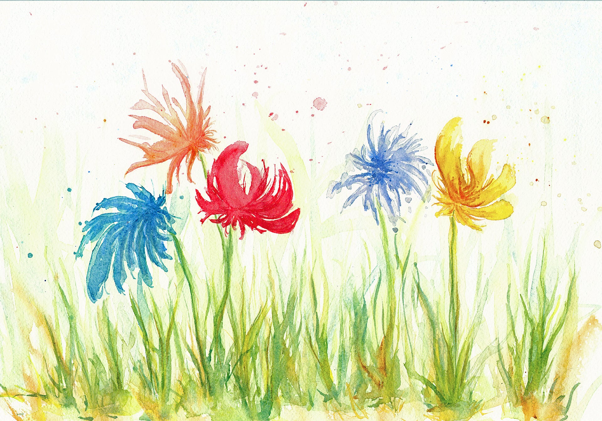 Into the Wonderful Wild