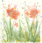 Pink Peony