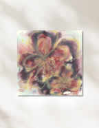 Burgandy Blush (no. 2)